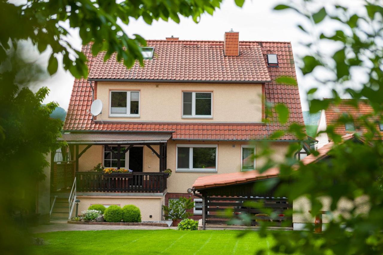 Ferienhaus Og1 "Westerwald Blick" Martinfeld Buitenkant foto